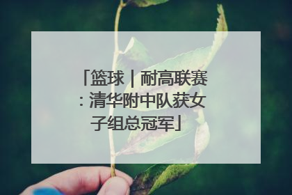 篮球｜耐高联赛：清华附中队获女子组总冠军