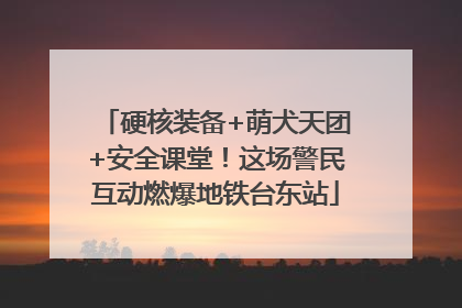 硬核装备+萌犬天团+安全课堂！这场警民互动燃爆地铁台东站