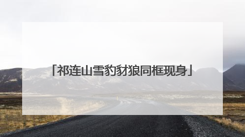 祁连山雪豹豺狼同框现身