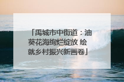 禹城市中街道：油葵花海绚烂绽放 绘就乡村振兴新画卷