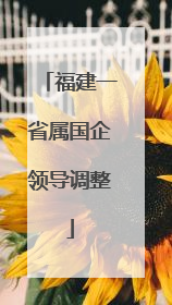 福建一省属国企领导调整