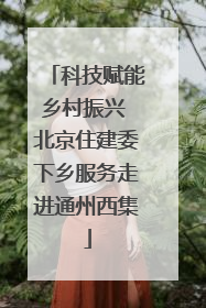 科技赋能乡村振兴 北京住建委下乡服务走进通州西集