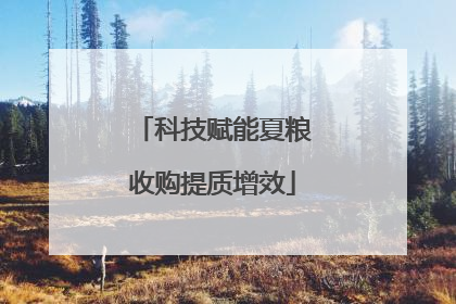 科技赋能夏粮收购提质增效