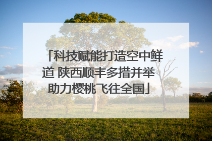 科技赋能打造空中鲜道 陕西顺丰多措并举助力樱桃飞往全国