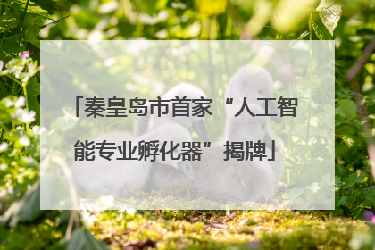 秦皇岛市首家“人工智能专业孵化器”揭牌