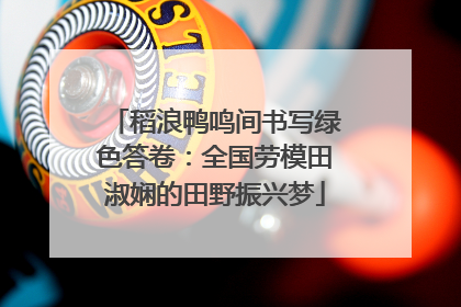 稻浪鸭鸣间书写绿色答卷：全国劳模田淑娴的田野振兴梦