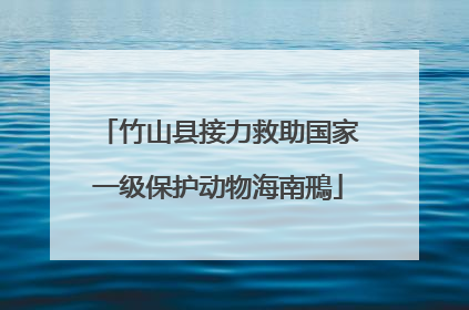 竹山县接力救助国家一级保护动物海南鳽