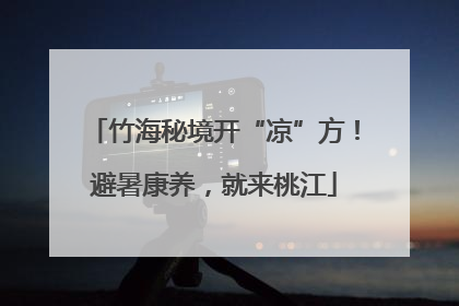 竹海秘境开“凉”方！避暑康养，就来桃江