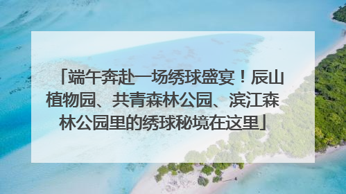 端午奔赴一场绣球盛宴！辰山植物园、共青森林公园、滨江森林公园里的绣球秘境在这里
