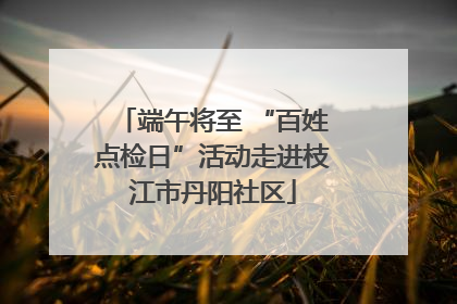 端午将至 “百姓点检日”活动走进枝江市丹阳社区