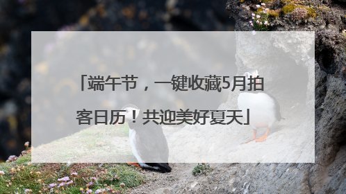 端午节，一键收藏5月拍客日历！共迎美好夏天