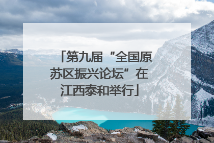 第九届“全国原苏区振兴论坛”在江西泰和举行
