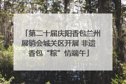 第二十届庆阳香包兰州展销会城关区开展 非遗香包“粽”情端午