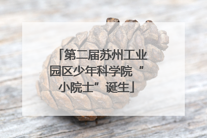 第二届苏州工业园区少年科学院“小院士”诞生