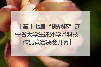 第十七届“挑战杯”辽宁省大学生课外学术科技作品竞赛决赛开幕
