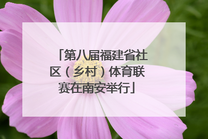 第八届福建省社区（乡村）体育联赛在南安举行