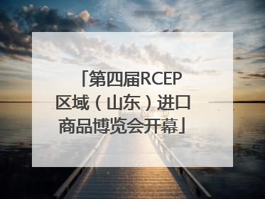 第四届RCEP区域（山东）进口商品博览会开幕