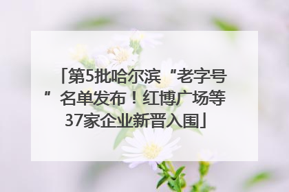 第5批哈尔滨“老字号”名单发布！红博广场等37家企业新晋入围