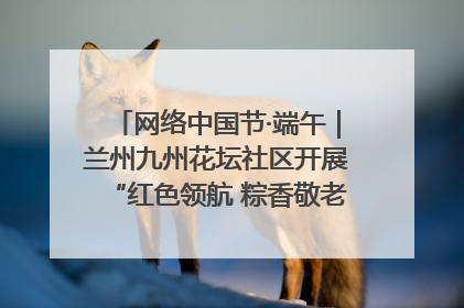 网络中国节·端午｜兰州九州花坛社区开展“红色领航 粽香敬老”端午主题活动