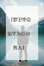 罗卫华会见华为公司客人