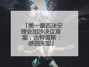 美一票否决安理会加沙决议草案，古特雷斯：感到失望