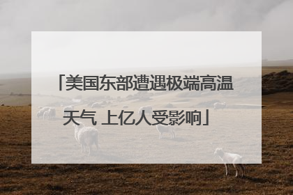 美国东部遭遇极端高温天气 上亿人受影响