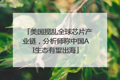美国搅乱全球芯片产业链，分析师称中国AI生态有望出海