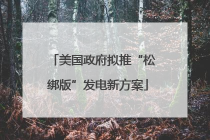 美国政府拟推“松绑版”发电新方案