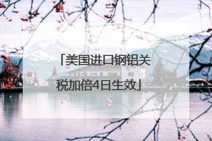 美国进口钢铝关税加倍4日生效