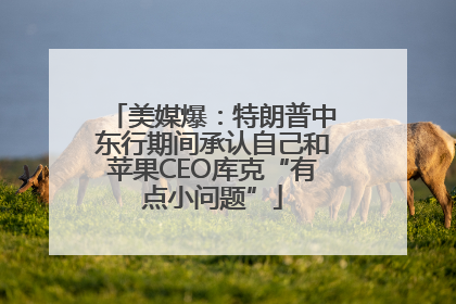 美媒爆：特朗普中东行期间承认自己和苹果CEO库克“有点小问题”