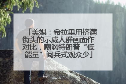 美媒：希拉里用挤满街头的示威人群画面作对比，嘲讽特朗普“低能量”阅兵式观众少