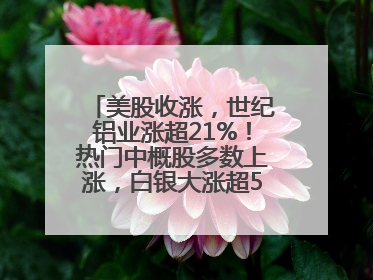 美股收涨，世纪铝业涨超21%！热门中概股多数上涨，白银大涨超5%，金油“涨”疯了！美联储官员最新表态