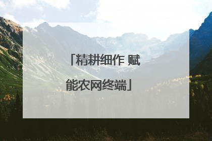 精耕细作 赋能农网终端