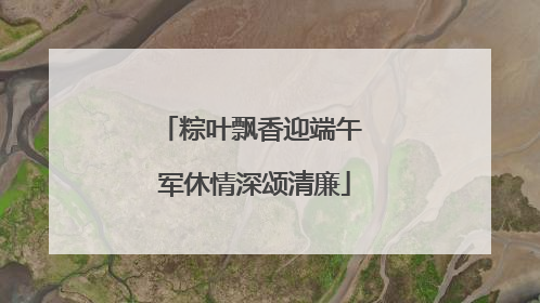 粽叶飘香迎端午 军休情深颂清廉