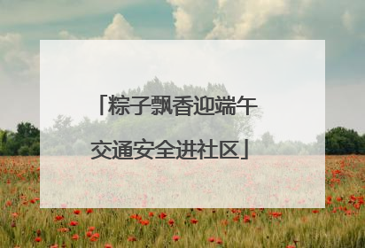 粽子飘香迎端午 交通安全进社区