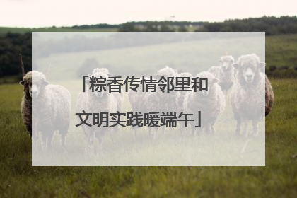 粽香传情邻里和 文明实践暖端午