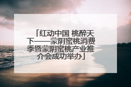 红动中国 桃醉天下——蒙阴蜜桃消费季暨蒙阴蜜桃产业推介会成功举办
