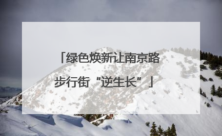 绿色焕新让南京路步行街“逆生长”