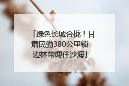 绿色长城合拢！甘肃民勤380公里锁边林带缚住沙海