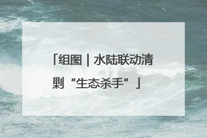 组图｜水陆联动清剿“生态杀手”
