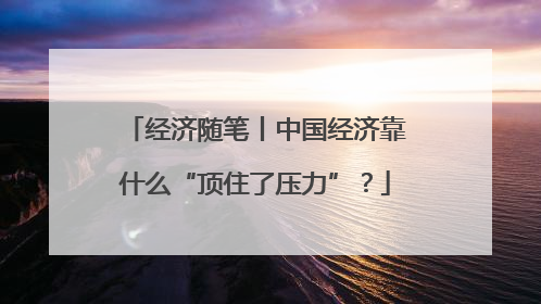 经济随笔丨中国经济靠什么“顶住了压力”？
