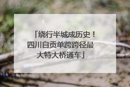 绕行半城成历史！四川自贡单跨跨径最大特大桥通车