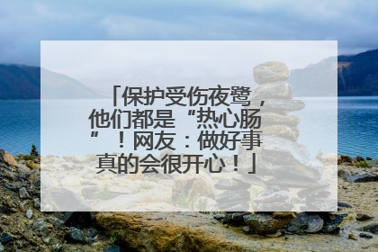 保护受伤夜鹭，他们都是“热心肠”！网友：做好事真的会很开心！