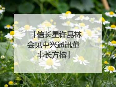 信长星许昆林会见中兴通讯董事长方榕