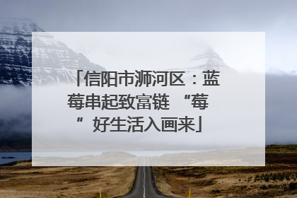 信阳市浉河区：蓝莓串起致富链 “莓”好生活入画来