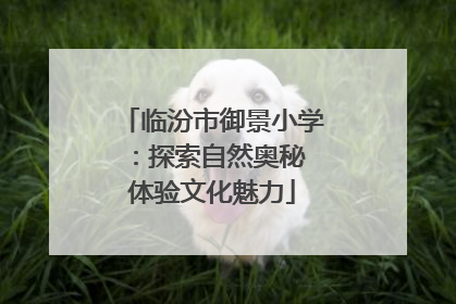 临汾市御景小学：探索自然奥秘 体验文化魅力