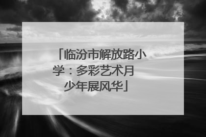 临汾市解放路小学：多彩艺术月 少年展风华