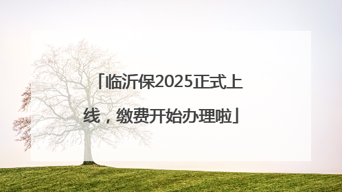 临沂保2025正式上线，缴费开始办理啦
