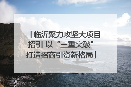 临沂聚力攻坚大项目招引 以“三重突破”打造招商引资新格局