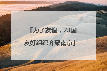 为了友谊，23国友好组织齐聚南京